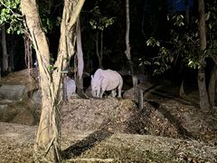 -清迈夜间动物园