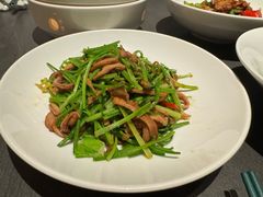 野山椒芫爆肚丝-湖里春风·淮扬菜(丽泽天街店)