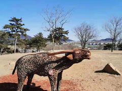 -北京西山国家森林公园