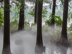 -东湖落雁景区