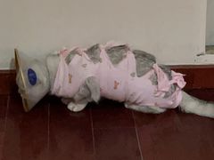 -美迦爱-牙专科·兔科·骨科诊疗中心(北苑店)