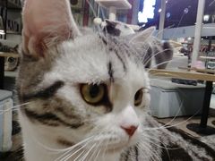 -小时光咖啡馆(开森度假森林店)