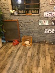 -A  Hair Salon