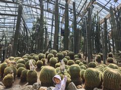 -南山植物园