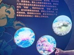 -太平洋海底世界