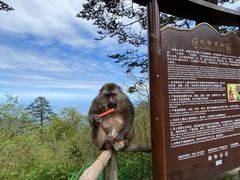 -峨眉山风景名胜区