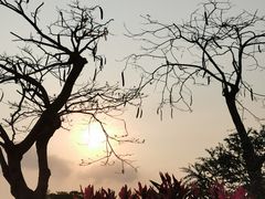 -海心沙亚运公园
