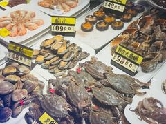 -渔娘渔家丹东海鲜(东直门店)