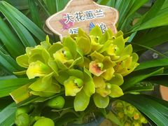 -北京植物园-展览温室