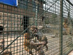 -南京金牛湖风景区