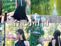 -合肥滨湖国家森林公园