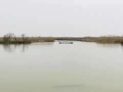 -盐城丹顶鹤湿地生态旅游区