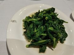 清炒豆苗-苏浙汇(朝外店)