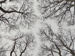 -钟山体育运动公园