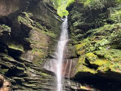 -碧峰峡风景区