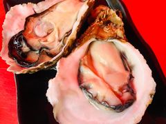 -水哥卜卜贝(东晓·胜汇里店)