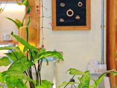 -绿小院(荔湾店)