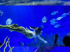 -海合安武汉极地海洋公园