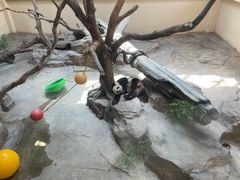 -宁波野生动物园
