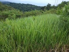 景点-飞天山旅游区