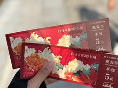 -洛阳白马寺