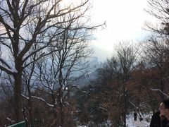 -紫金山山顶公园