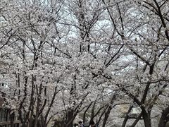 -浙江大学(玉泉校区)