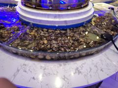-澜悦港海鲜体验主题餐厅
