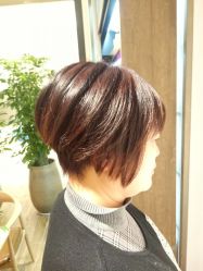 -Mentor Hair Salon
