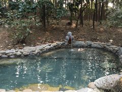 -洪湖悦兮半岛国际温泉度假村