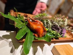 -蝶舍·MAISON PAPILLON