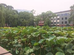 -四川大学(望江校区)