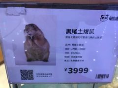-龟与熊猫宠物公园(南坪店)
