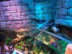 -沈阳海洋探索中心