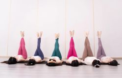 -亚太瑜伽普拉提学院