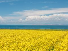 -青海湖国家重点风景名胜区