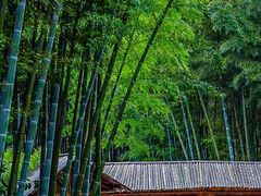 -赤水丹霞旅游区·大瀑布
