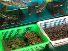 -崖口红树林海鲜餐厅