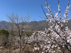 -白水寺森林公园