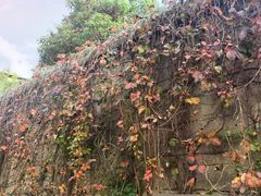 -半岛1919创意园区