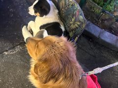 -火候轩品质湘菜·私厨(市府店)