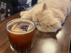 -Double cafe