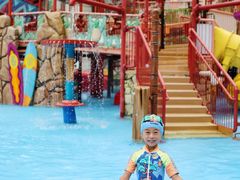 -海合安成都极地海洋公园