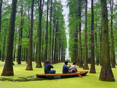 -渌洋湖湿地公园