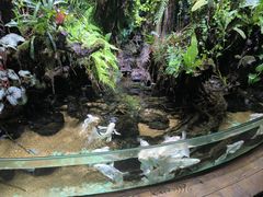 -太平洋海底世界