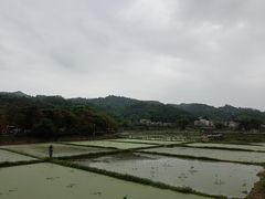 -红山村