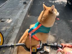 -卖呆儿咖啡(望京店)