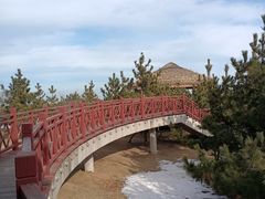 -养马岛旅游度假区