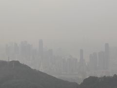 -大金鹰园