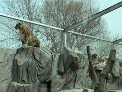 -青藏高原野生动物园